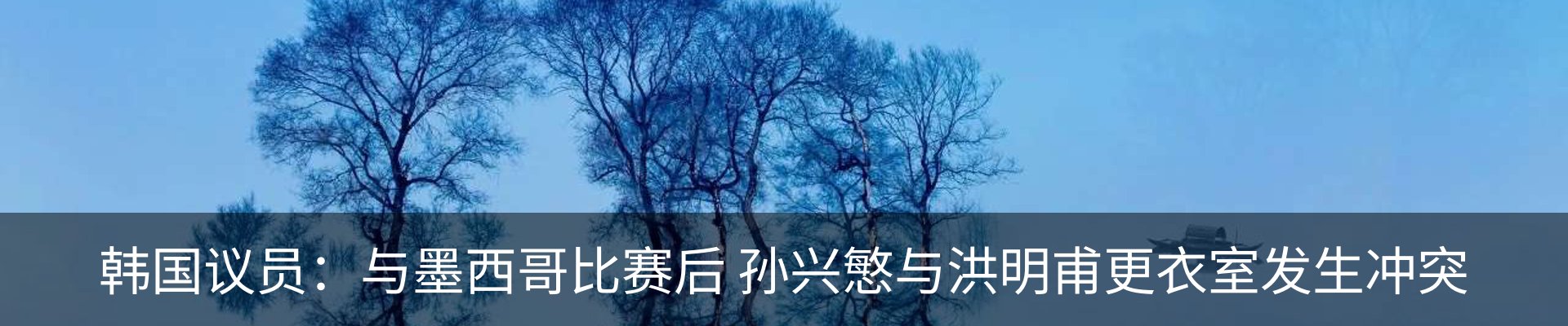 新闻动态